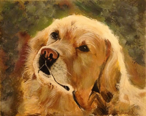 Golden Retriever by Tidwell